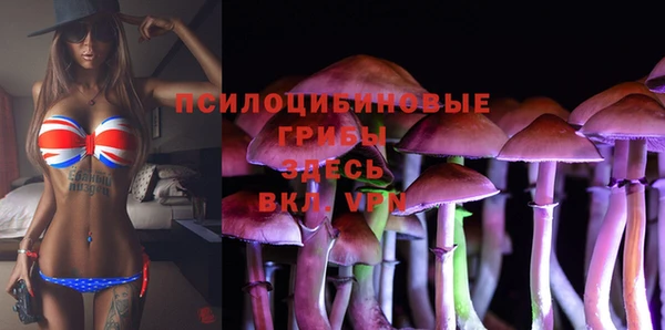 дживик Верея