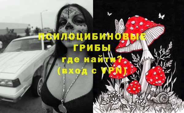 прущие крисы Володарск