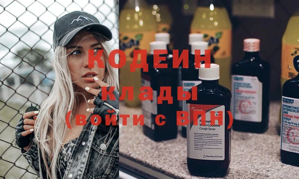 индика Волоколамск