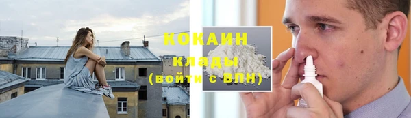 индика Волоколамск