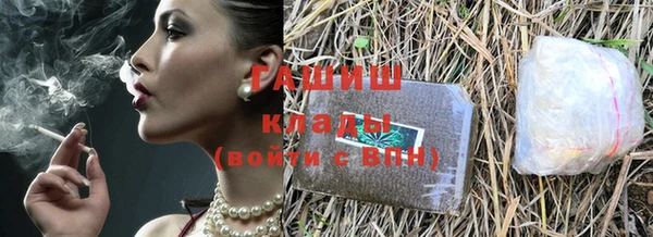 индика Волоколамск