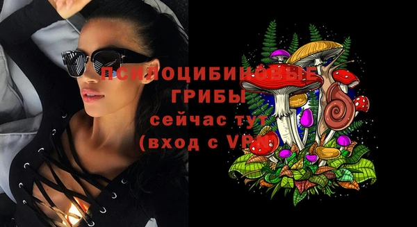 дживик Верея
