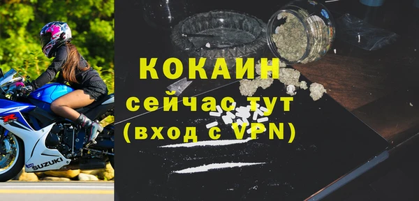 индика Волоколамск