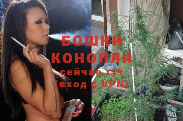 дживик Верея