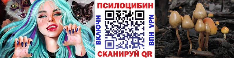 Купить  Зеленодольск  Галлюциногенные грибы мицелий 
